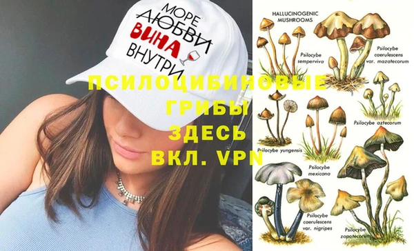 мдпв Армянск