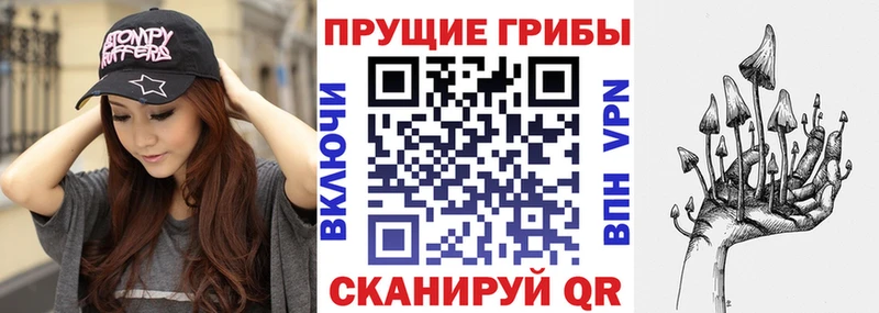 Псилоцибиновые грибы Cubensis Богучар